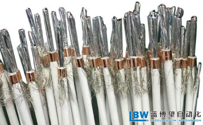 藍(lán)博望自動(dòng)化 藍(lán)博望自動(dòng)化